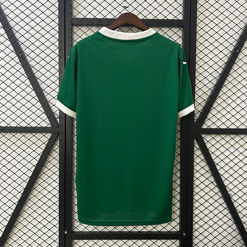 Camisa do Palmeiras 25/26 home