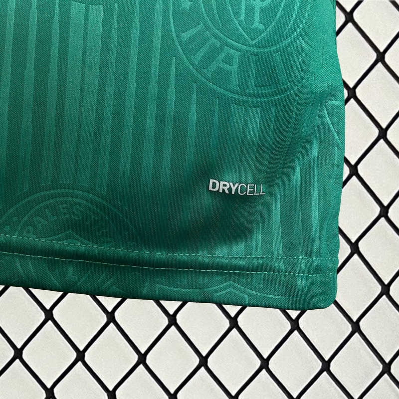 Camisa do Palmeiras 24-25