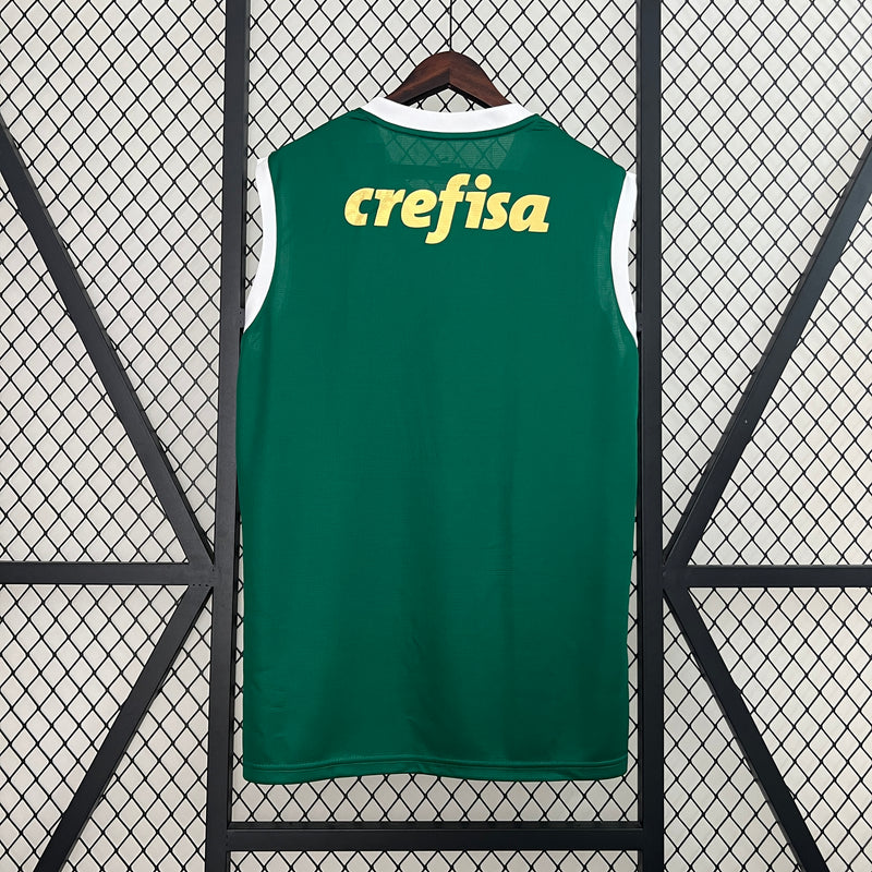 Camisa Sem Manga Palmeiras 24-25