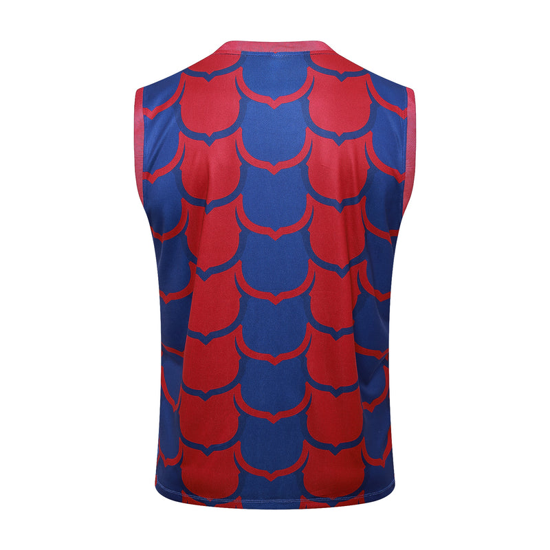 Conjunto de Jogo sem Manga Barcelona 24-25