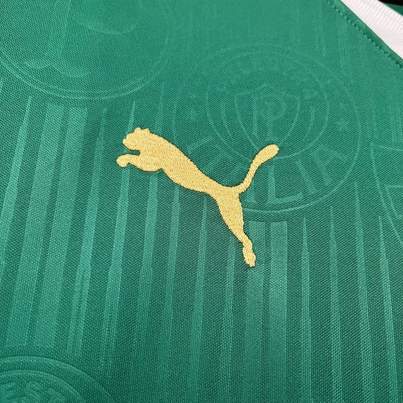 Camisa do Palmeiras 24-25